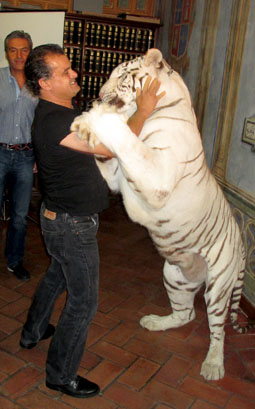 Un representante del Circo Kaos esta maÃ±ana, durante la presentaciÃ³n de la campaÃ±a, acompaÃ±ado de un tigre blanco.