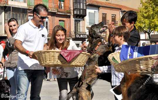 Un miembro del Jurado entrega un lote de productos a los dueÃ±os de uno de los perros ganadores.